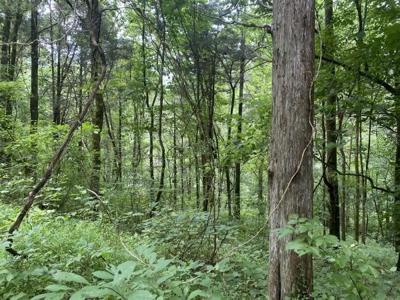 Lot 35 N Of Eagle Ridge Ln
