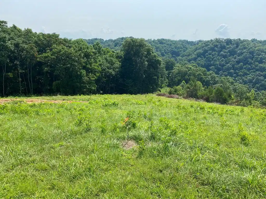 Image 1: Main View