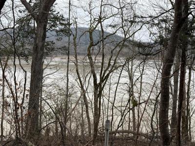 37.88 Ac Cook Ln