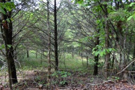 9ac Beachamp Rd