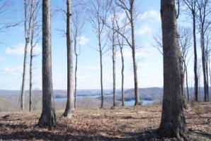Lot 32C Rockfish Road