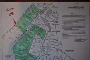Lot 38 Big Hollow Road
