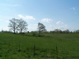 0 TOM GARRETT CEMETERY RD