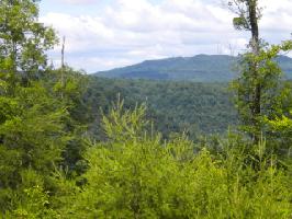 Lot 11 Big Hollow Road