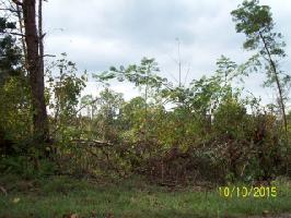Lot 1 Pollard Rd