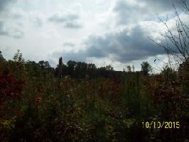 Lot 8 Pollard Cemetary Rd.