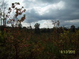 Lot 9 Pollard Cemetary Rd.