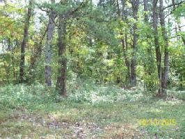 Lot 15 Pollard Cemetary Rd.
