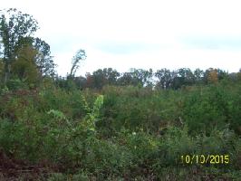 Lot 22 Pollard Cemetary Rd.