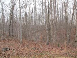 Lot 8 Serenity Ridge