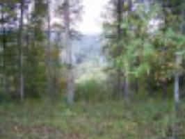 Lot 2 Falls Creek