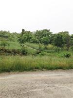 Lot13/14 Eagle Creek Ferry Rd