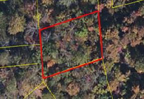 Lot 44 Mine Lick Estate