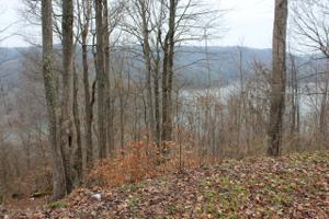Lot 55 Skylar Dr