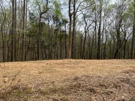 Lot 3 Willow Grove Hwy
