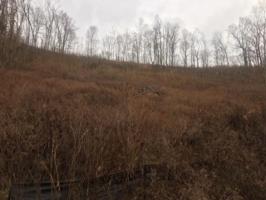 Lot #58 Coconut Ridge Road