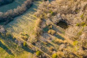 9.64AC Fairground Ln