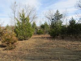 7.40 Ac Woody Underwood Road