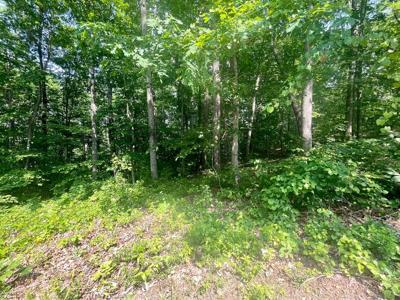 1.97 ac WATERCOLOR DRIVE