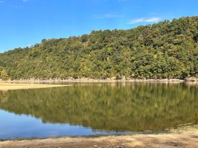 40 Acres Winningham Rd