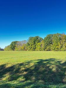 Lot 4 Goff Ridge Rd.