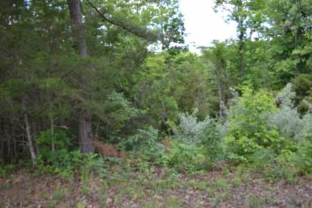 2.75ac Beauchamp Rd