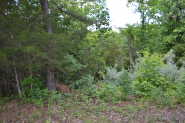 Image 1: Main View