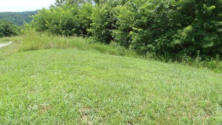 Lot 17D Crappie Lane