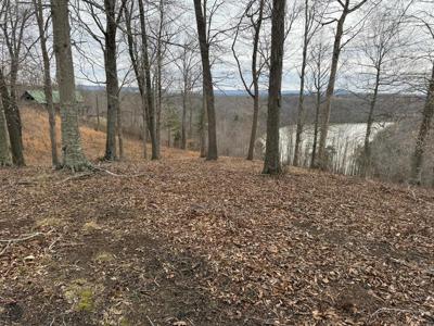 Lot 7 Amonett Circle