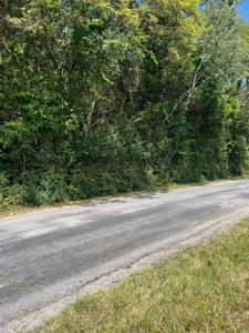 1.5 AC Lily Dale Rd.