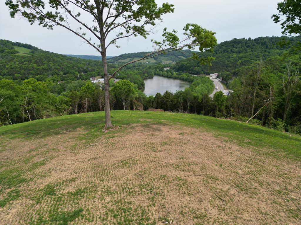 Image 1: Main View