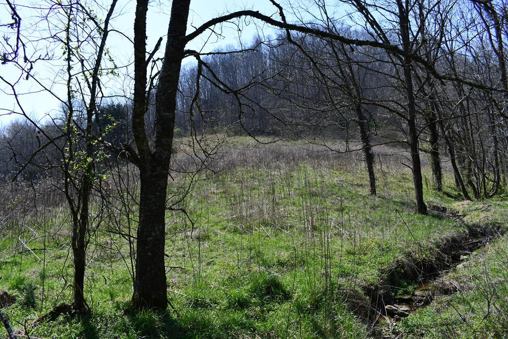 Image 1: Main View