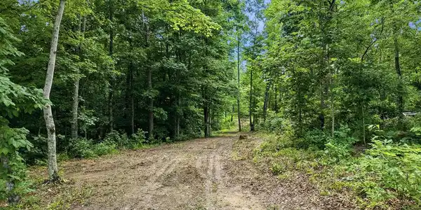 Backbone Rd