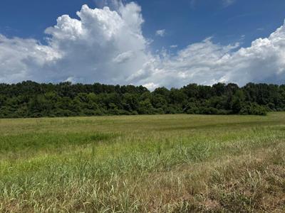 3473 N Grundy Quarles Hwy
