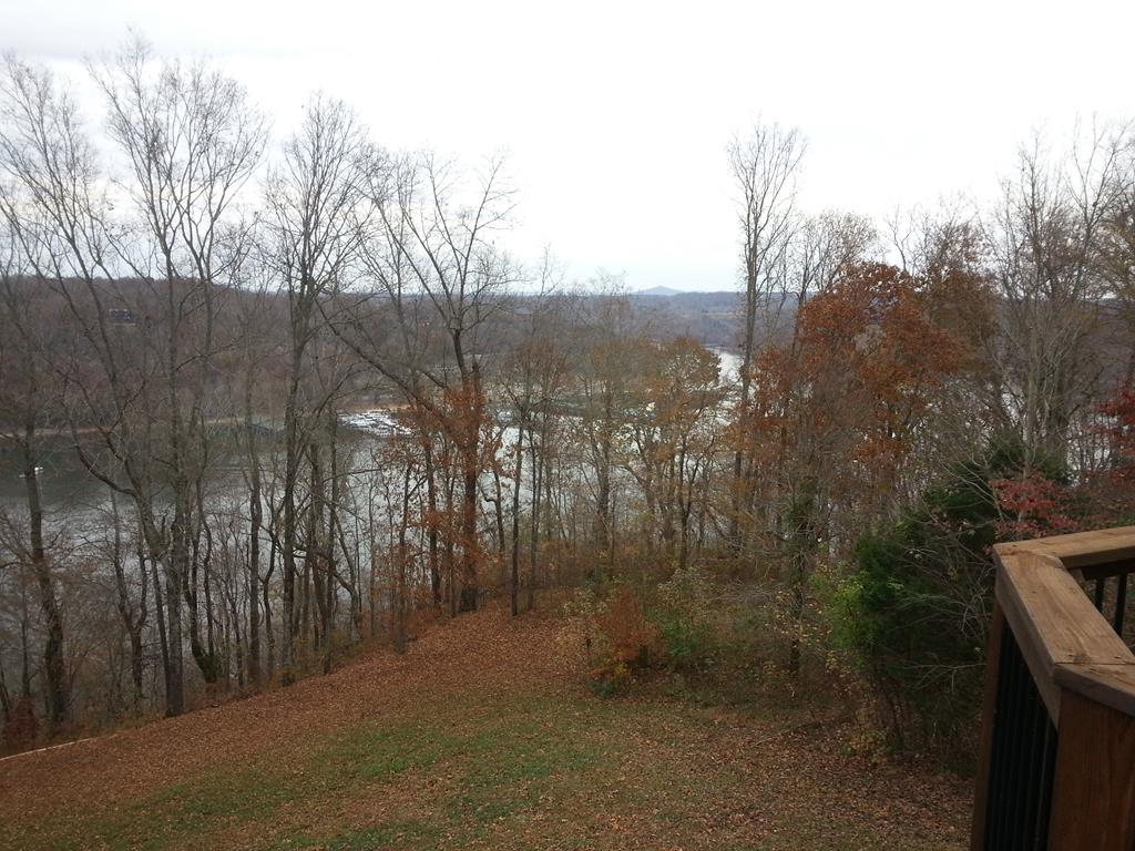 Image 4: View with trees trimmed