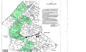 lot 65 Big Hollow Road