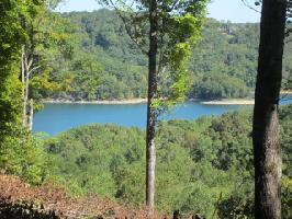 Lot 1 Falcon Drive