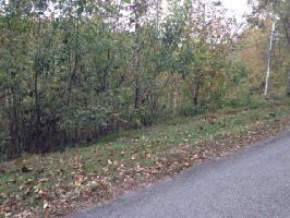 Lot 6 Austin Lake Road