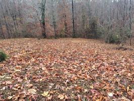 2.6 ac Livingston Highway