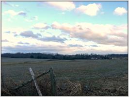 45 acres Bethsaida Rd