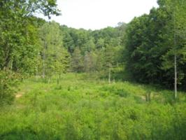 20 AC Willow Grove Hwy.