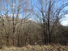Lot 15 Park Drive
