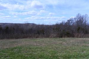 Lot 28 Bald Eagle Lane