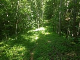4.89acre Highland Trail