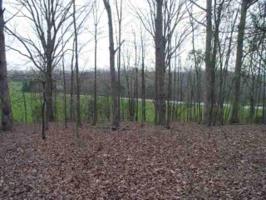 Lot 7 Willow Grove Hwy