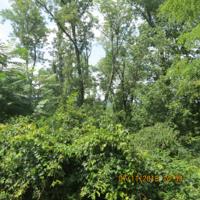 Lot 106 Wilson Circle