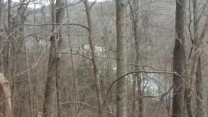 lot 140 Lakeside Dr.