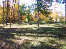 Lot 2 Murphy Lane
