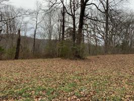 Lot 2 Lakeland Dr