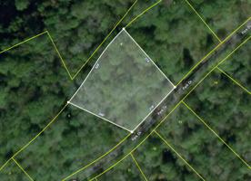 Lot 4 Park Dr